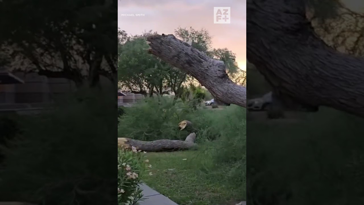 Monsoon is here, Arizona!