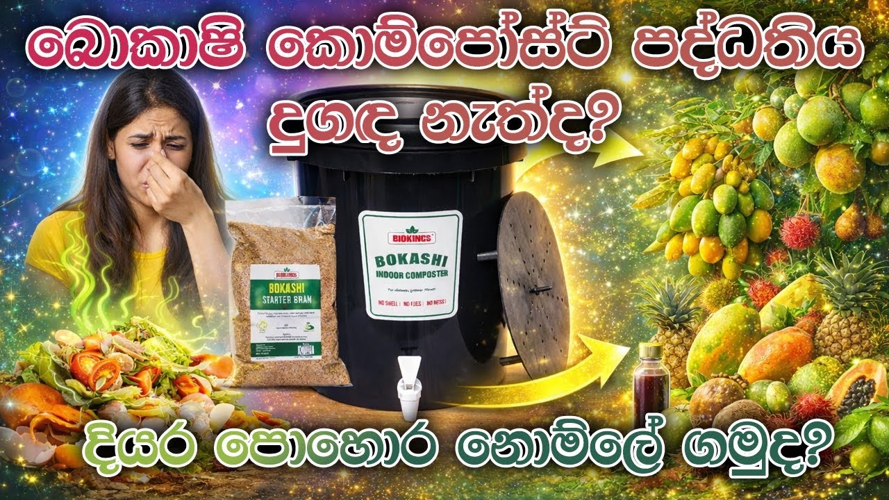 Inside a Bokashi Bin Food Waste & Compost Liquid | බොකාෂි බින් එකේ කුනු දුගඳ නැත්ද ? දියරය පොහොර ගමු