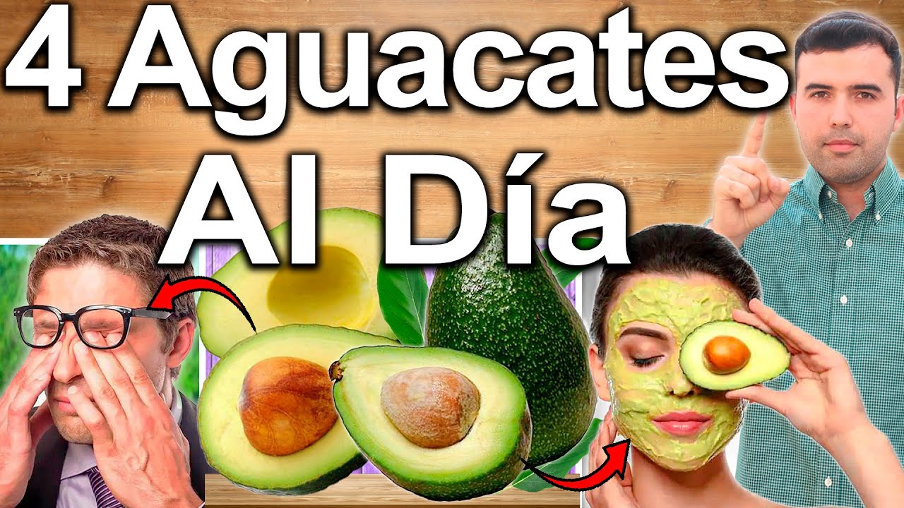 Aguacate Para Todo! &iquest;Para Qu&eacute; Sirve La Palta? - Beneficios Para Tu&nbsp;Salud&nbsp;Y&nbsp;Belleza