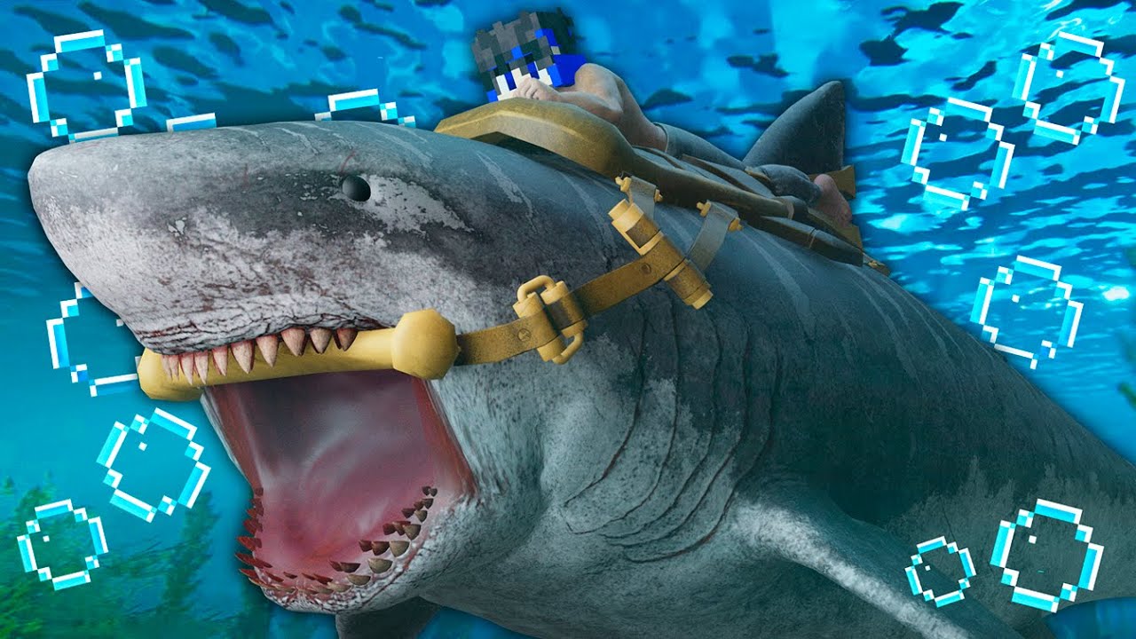 O TERROR DOS MARES... MEGALODON DOMESTICADO! - ARK SURVIVAL EVOLVED