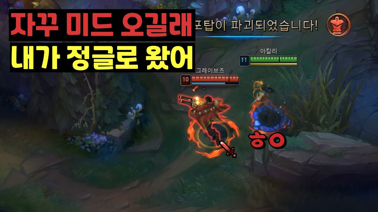 자꾸 오길래 그냥 내가 찾아갔습니다