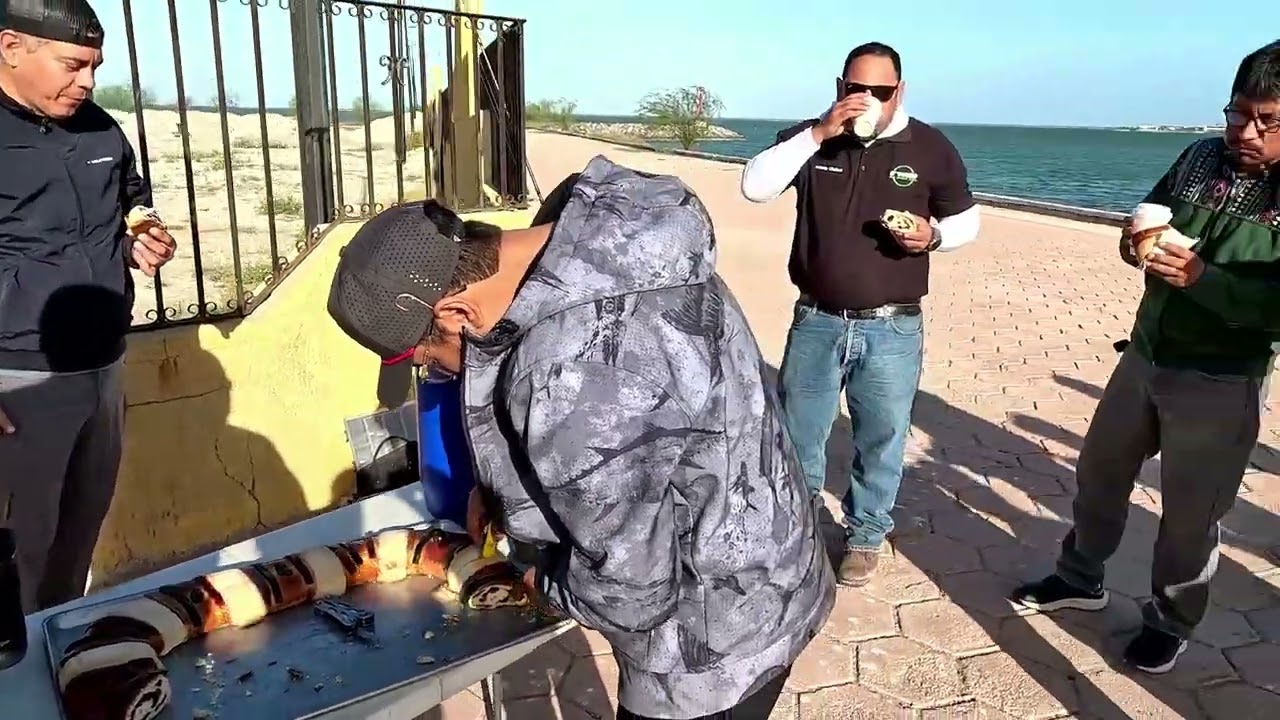 JORNADA DE LIMPIEZA  ENTRE AMIGOS  HOTEL GRAND PLAZA LA PAZ BCS   ( Pesca de Robalos y Pargos )