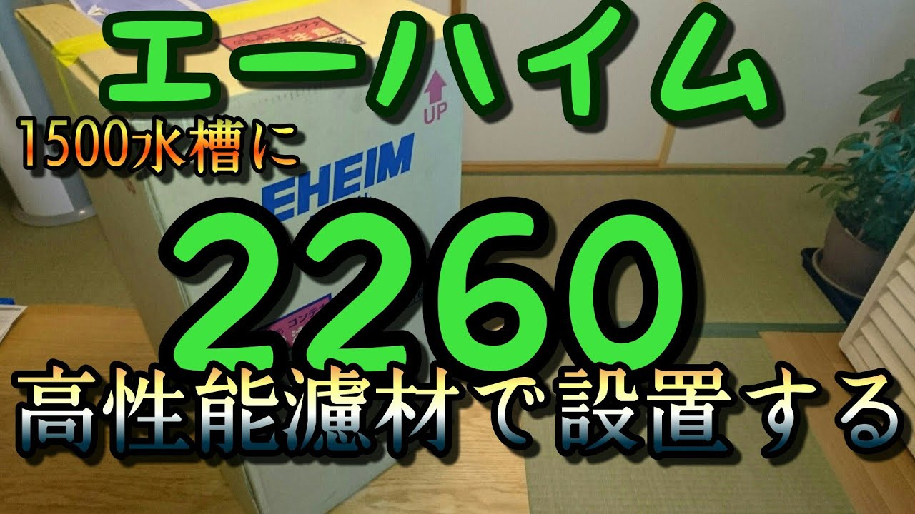 アロワナ水槽にエーハイム2260設置❕