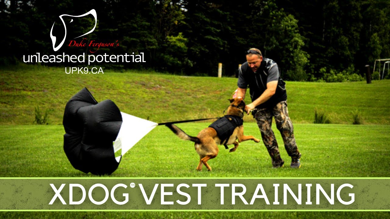XDOG Vest Resistance Training