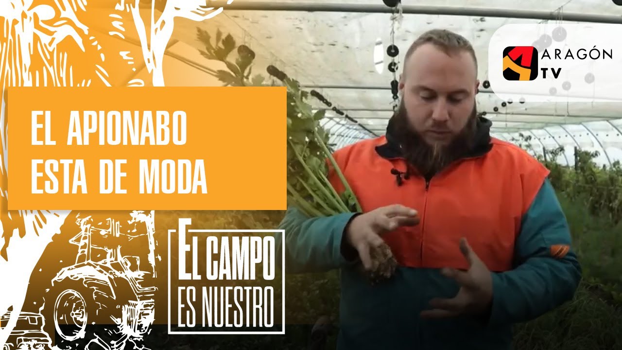 El apionabo está de moda