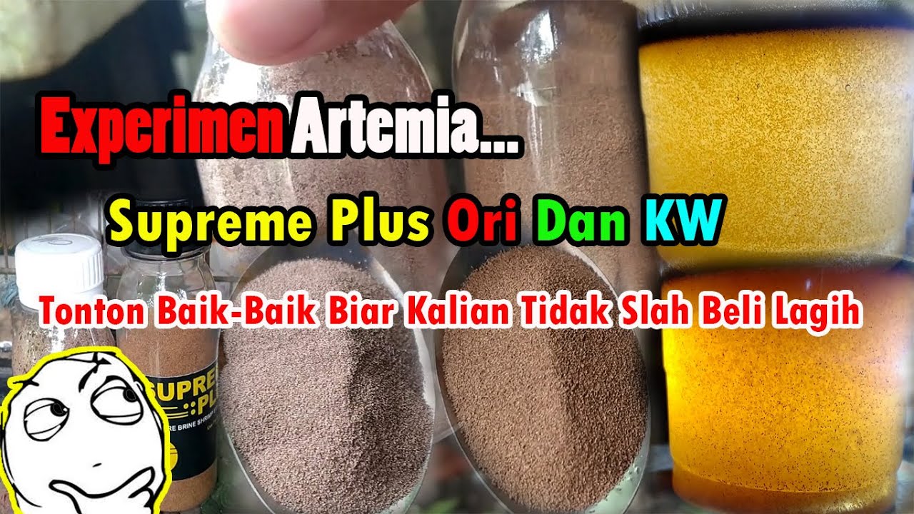 Experimen Artemia Supreme Plus