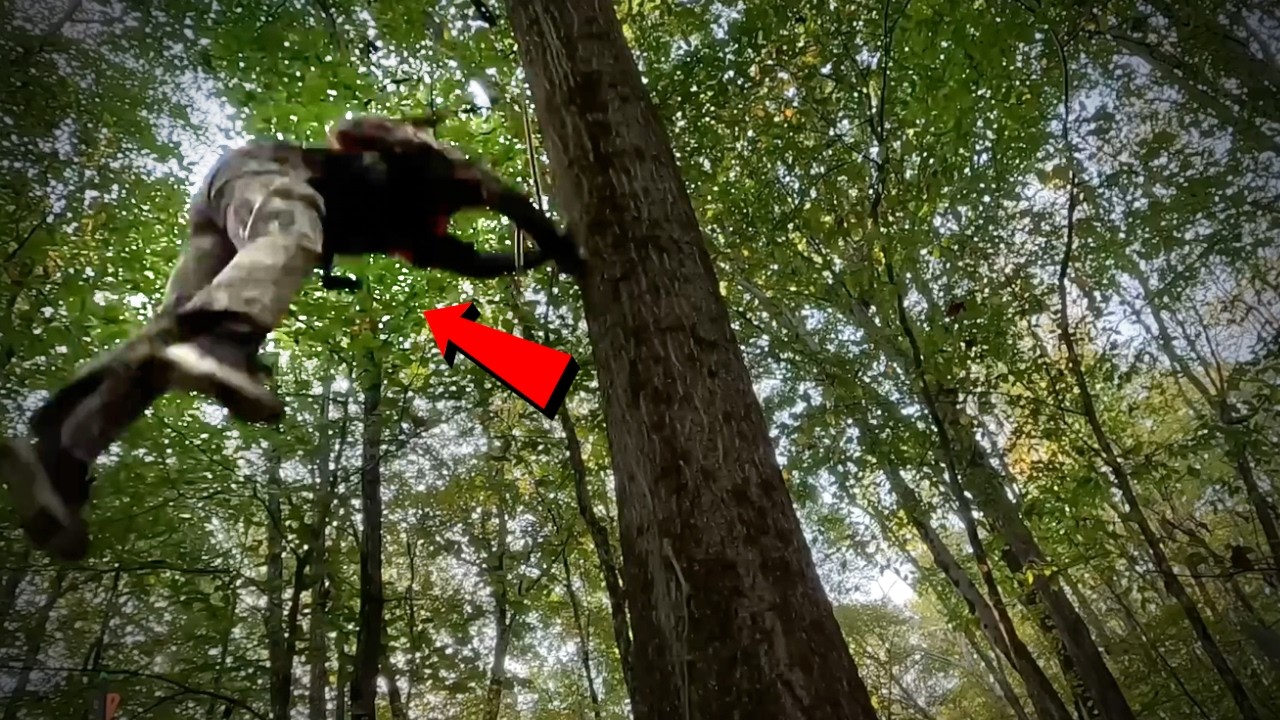 5 Most Disturbing Forest Encounters Caught on Camera