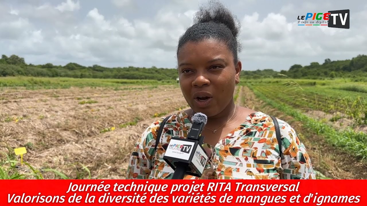 Journée technique projet RITA Transversal: Valorisons de la diversité des variétés mangues & ignames