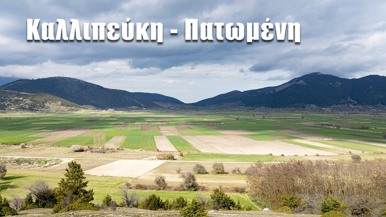 Βόλτα στην Καλλιπεύκη - Πατωμένη