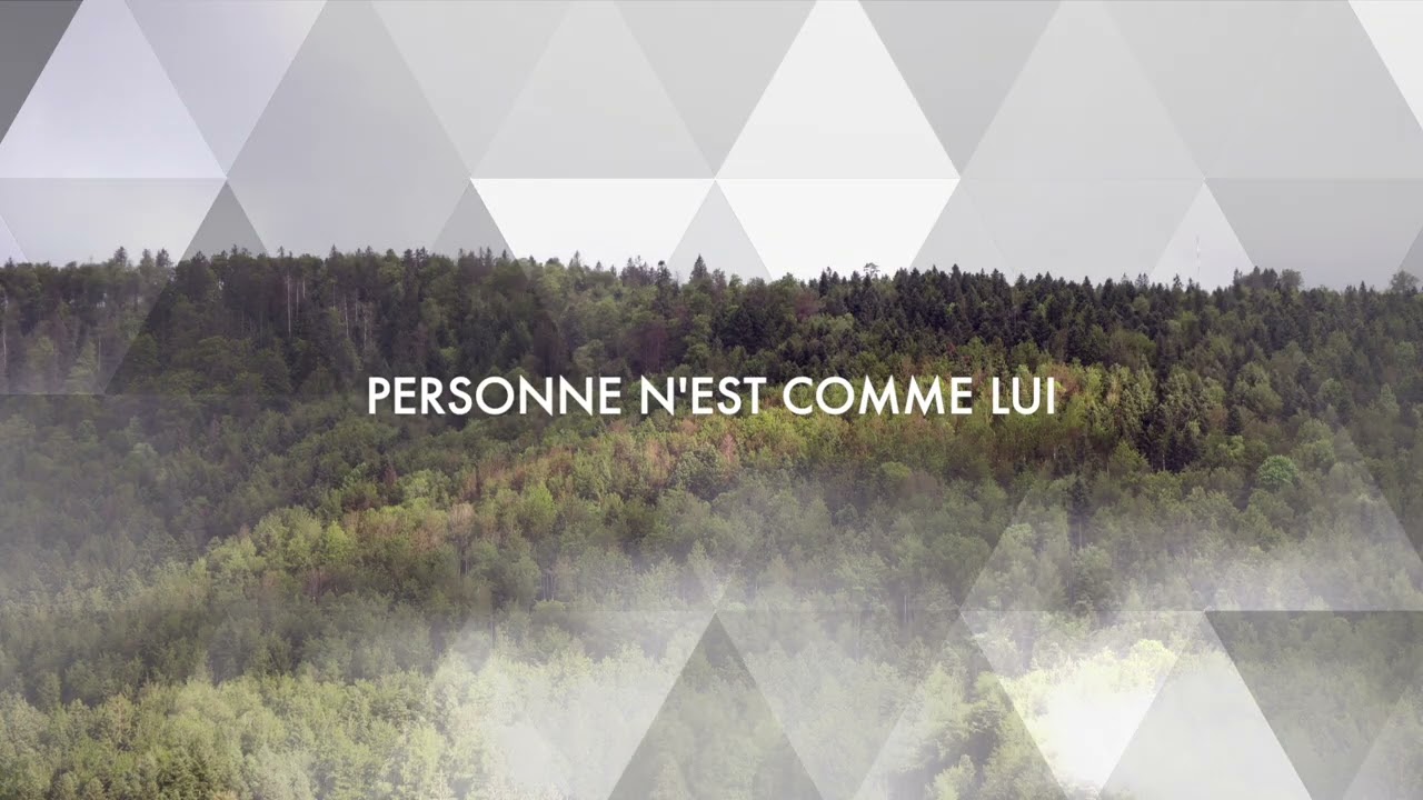 Personne n'est comme Lui (No One Like The Lord - Bethel Music) - Deni Gahlinger [Cover FR]