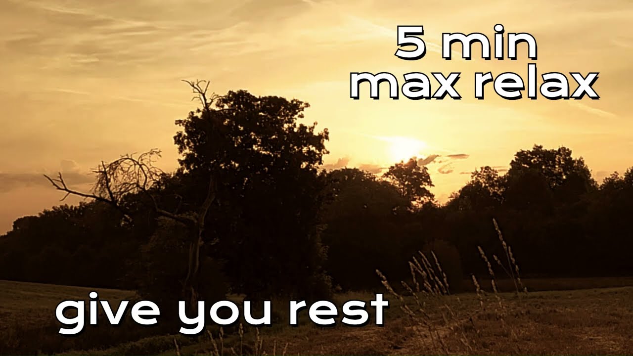 5 min max relax   bridshearth   give you rest