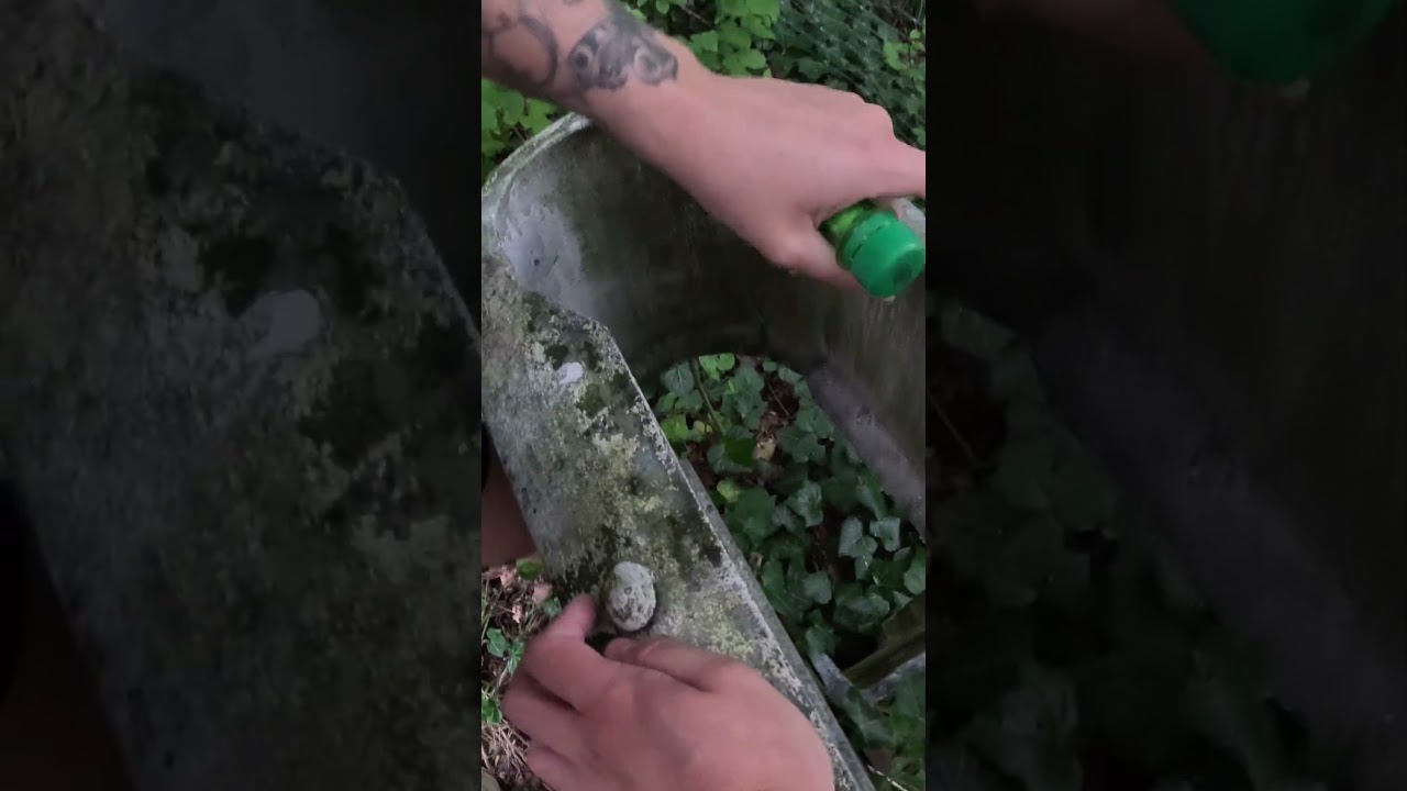 Poznajcie Poziomy Trudności w Geocaching! #geocaching  #vlog #przygoda #extreme  #shorts