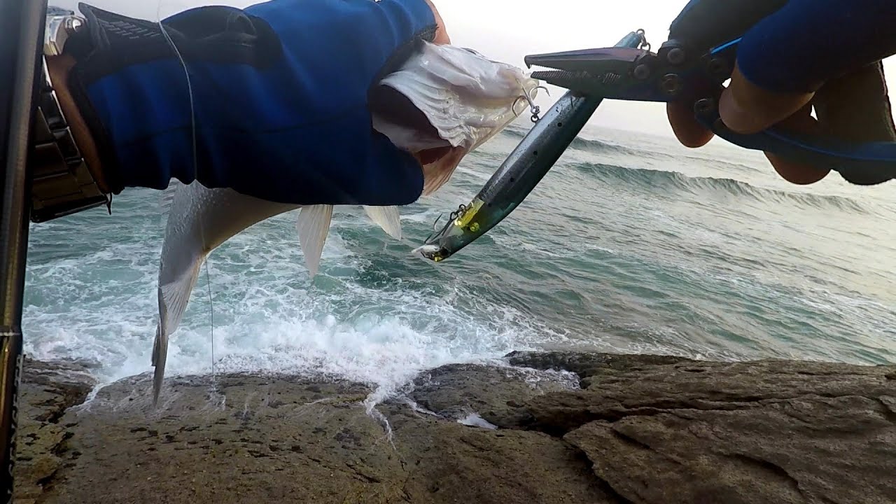 Robalizas con Shimano Exsece Silent Assassin 140mm “Flash Boost”