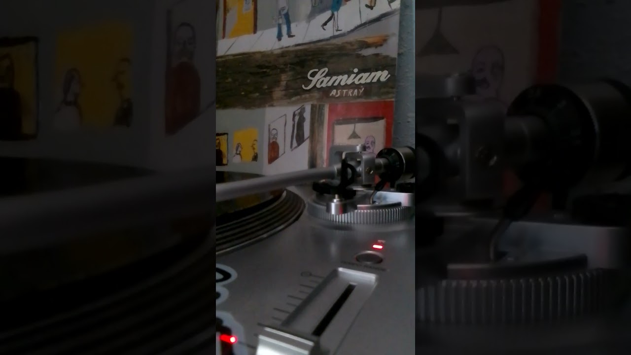 Samiam - Dull - Audio Vinilo