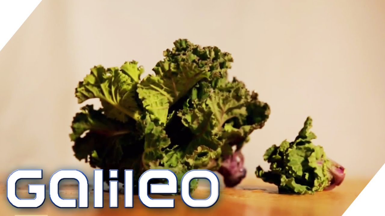 Food Trend: Flower Sprout | Galileo | ProSieben