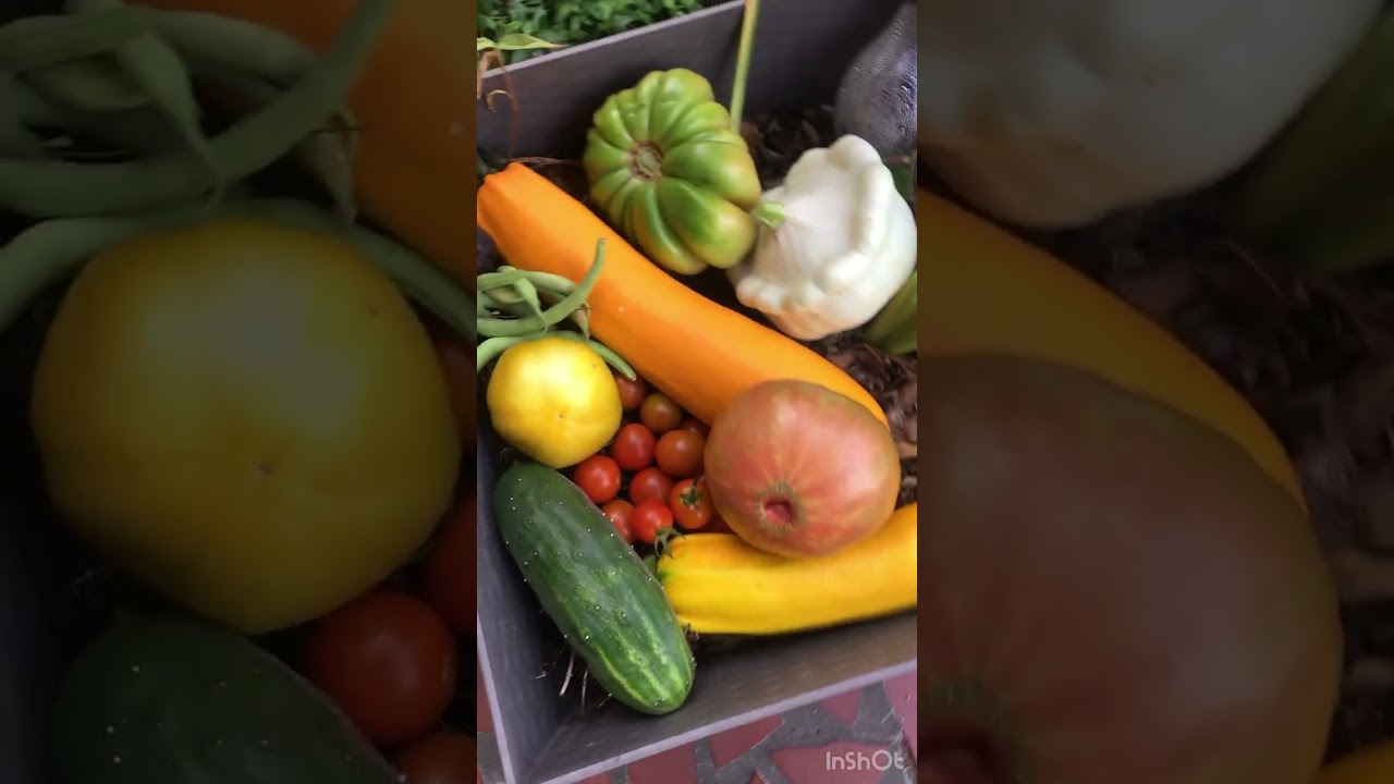 Review of the 2025 Garden!! 
