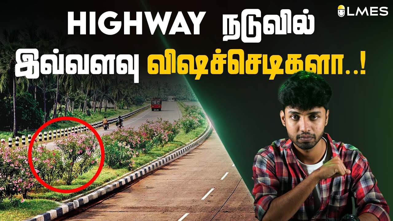 Highway நடுவில் இவ்வளவு விஷச்செடிகளா..! | Tamil | LMES