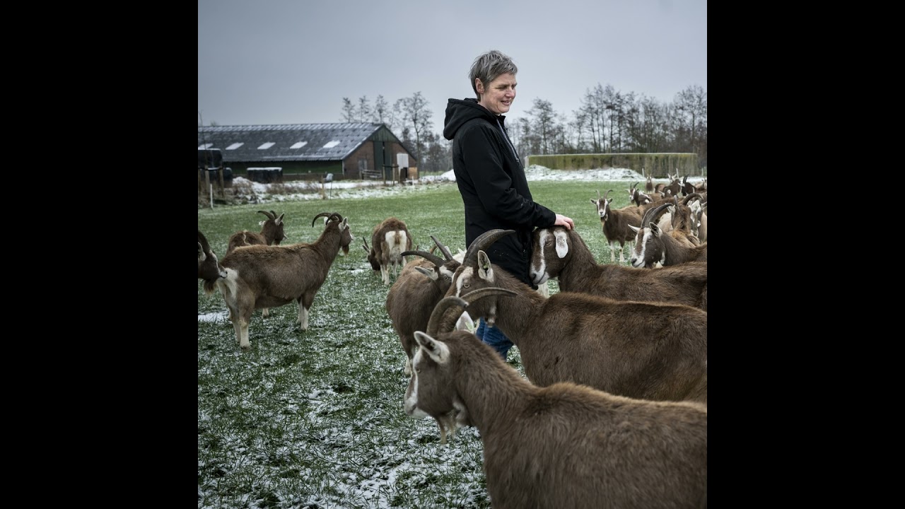 'Ben ik nu de crimineel?' Hoe een kleine geitenboerderij de strijd om de ruimte blootlegt