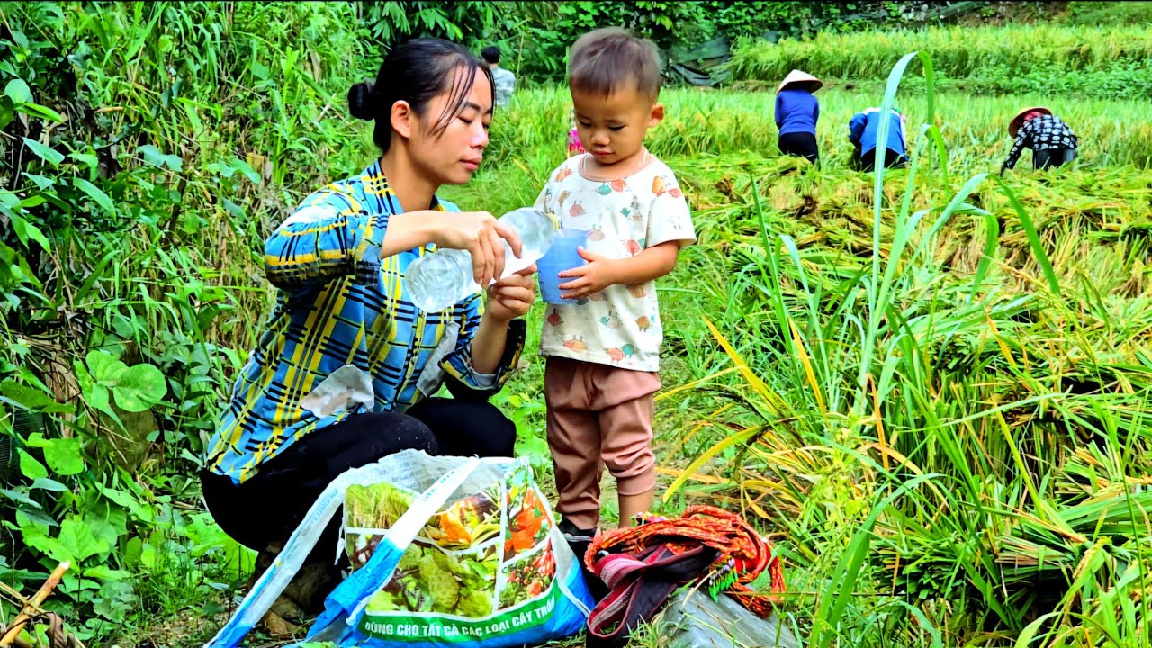 Single mother Tieu Ca's love and longing for police officer Alex