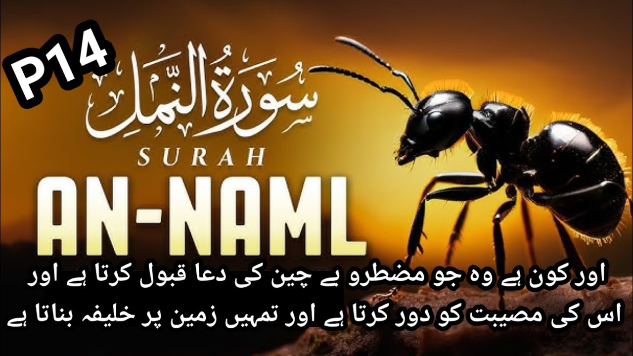Sura e namal p 14 ayat no (60 to 76) ke tafseer