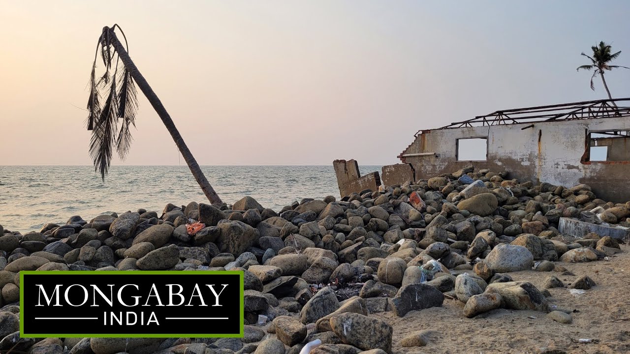 Kerala's eroding coast and lives