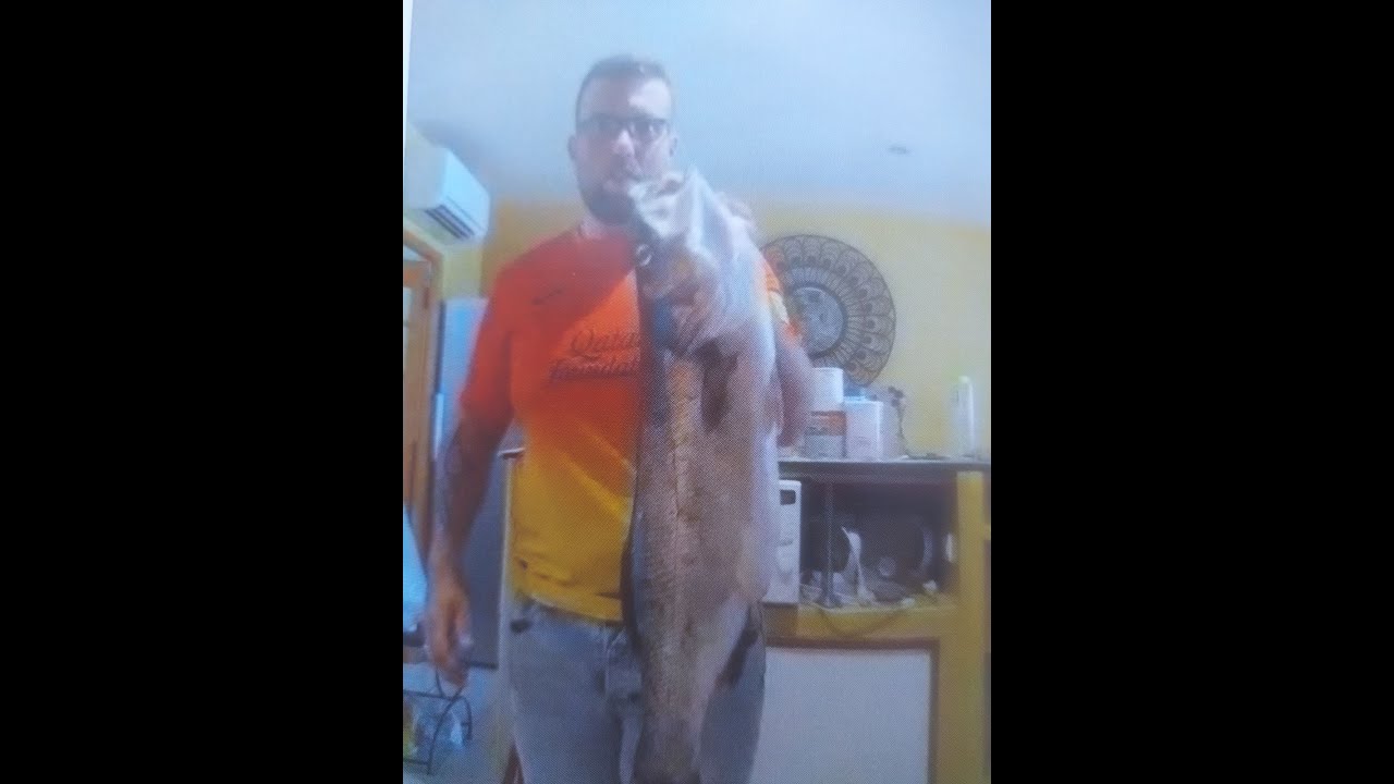 MONTAGE AU BOUCHON LUMINEUX FIXE AU VIF POUR LA PECHE DU BAR (ET LOUP)