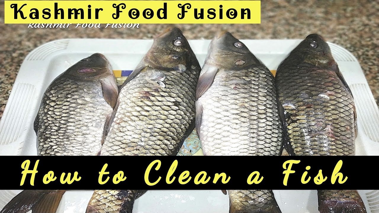 How to clean a fish || Fish cleaning tutorial || Machli ko saaf kaise karen || Gaadh cleaning