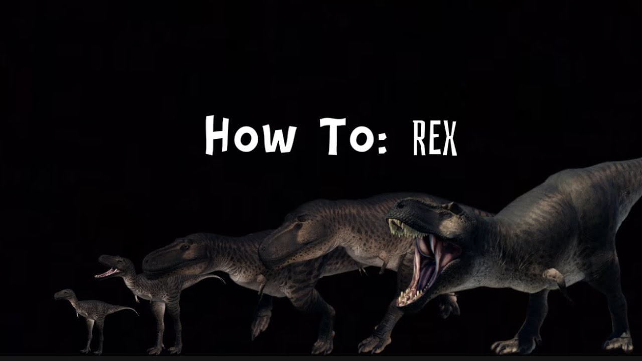 How To REX || Prior Extinction Yap