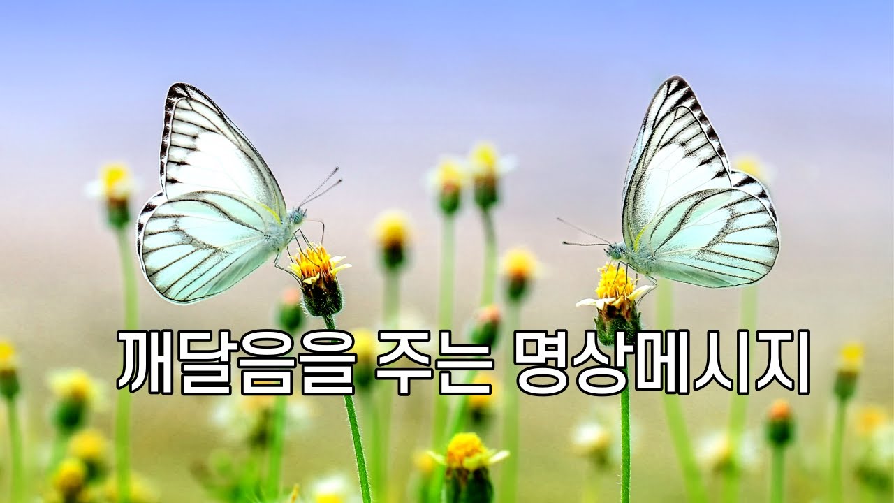 깨달음을 주는 명상 메시지 4분 | 위로와 힐링이 있는 명상하기 좋은글