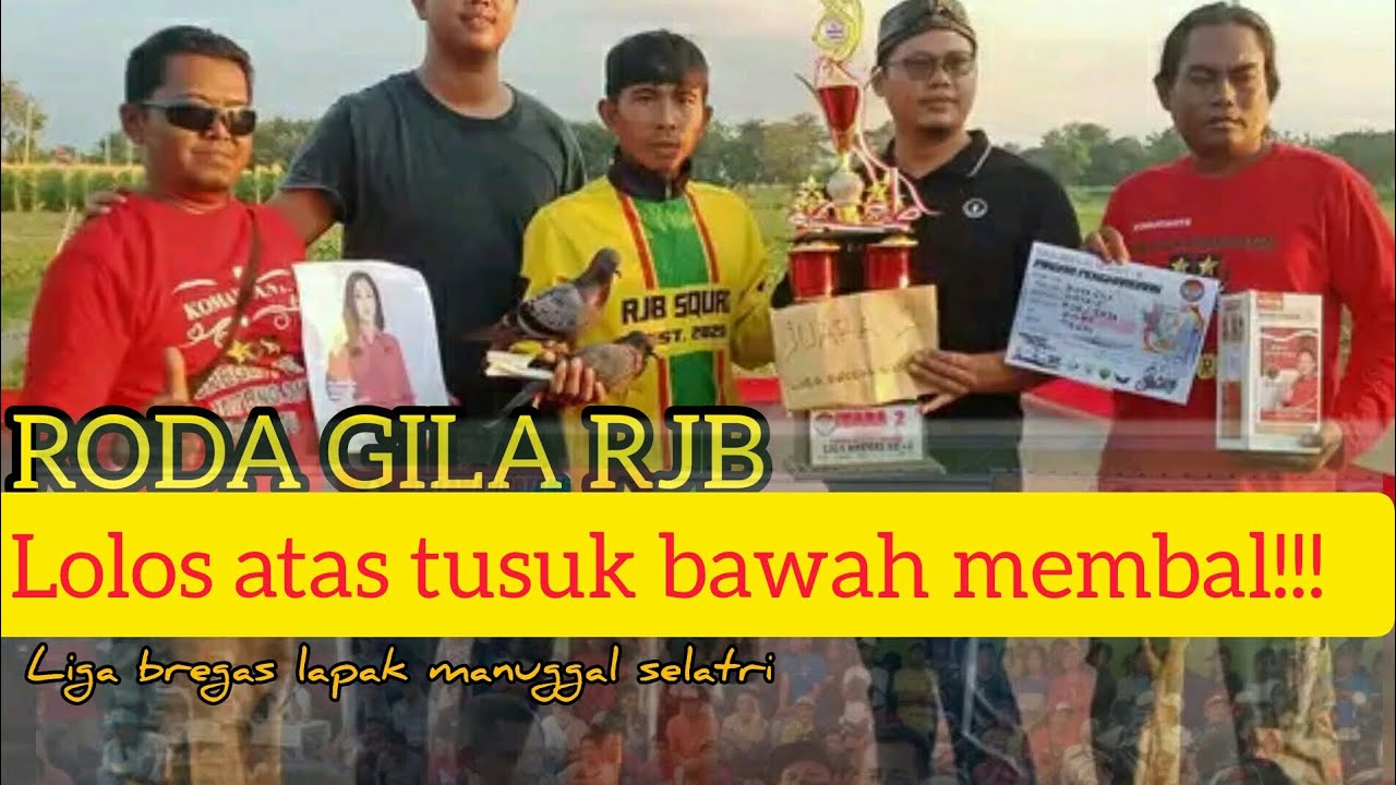 RJB BIKIN CERITA BURUNG NYA PUN KUALITAS TOP RODA GILA MERAMAIKAN LIGA BREGAS!!!