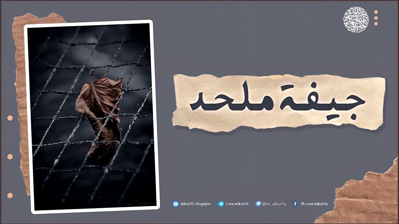 جيفة ملحد ....!