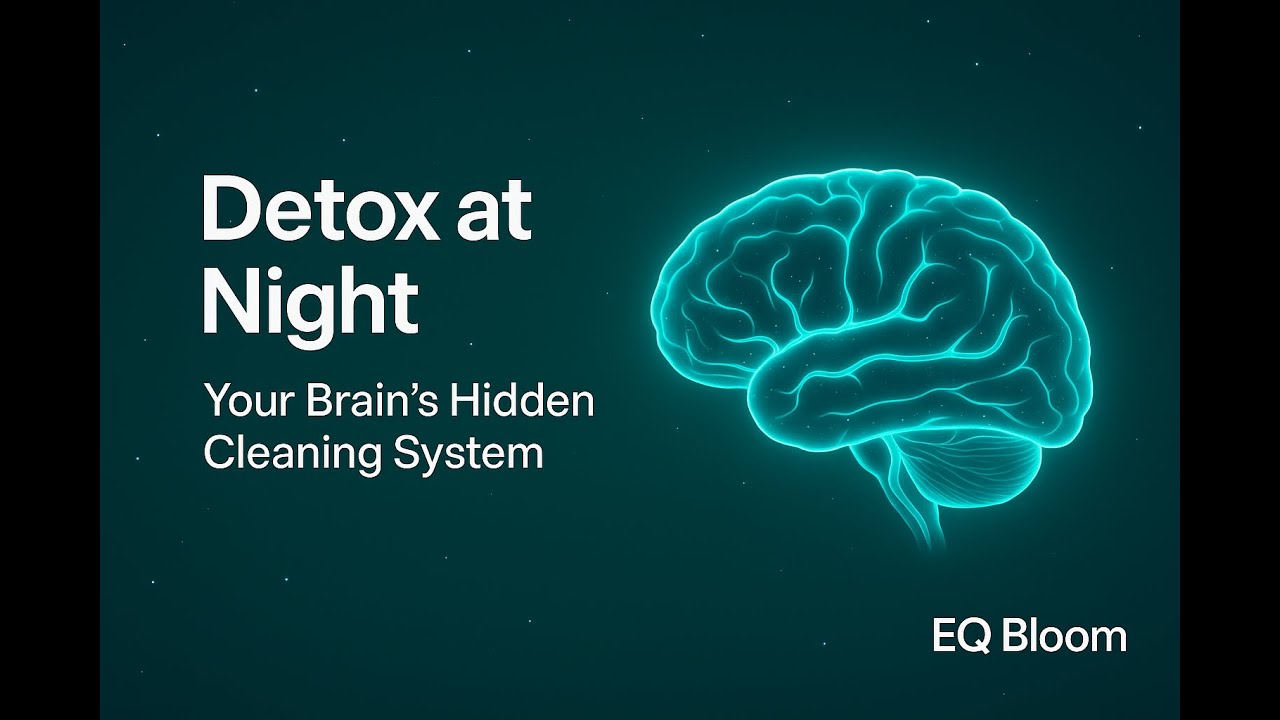 The Glymphatic System: How Your Brain Detoxes at Night | EQBloom