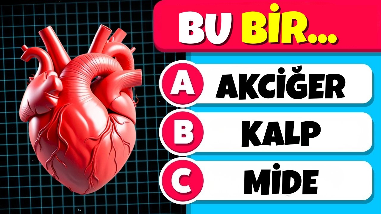 İnsan Vücudunu Ne Kadar İyi Tanıyorsun? 💪🧬🧠 Organlarımız Genel Kültür Testi