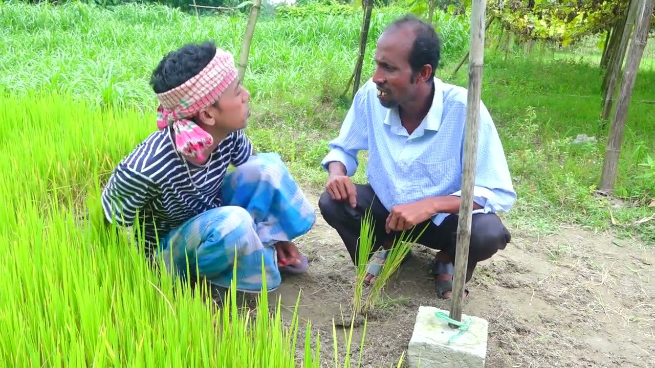 আলমগীর কামলার পাওয়ার I New Funny Video  I plisse subscribe my channel I Lalon Media