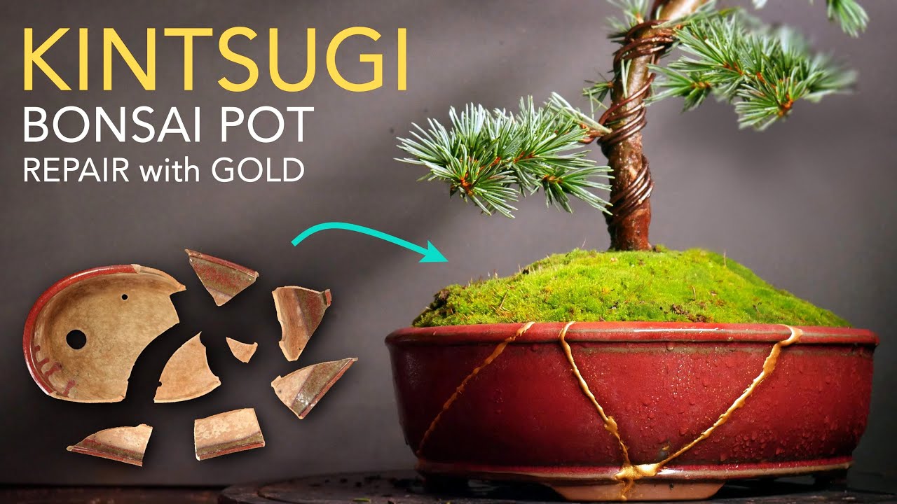 ASMR | KINTSUGI - Bonsai Pot Restoration (unboxing)