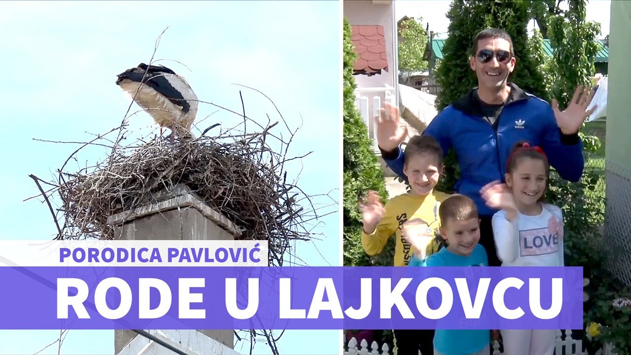 Došle rode u Lajkovac