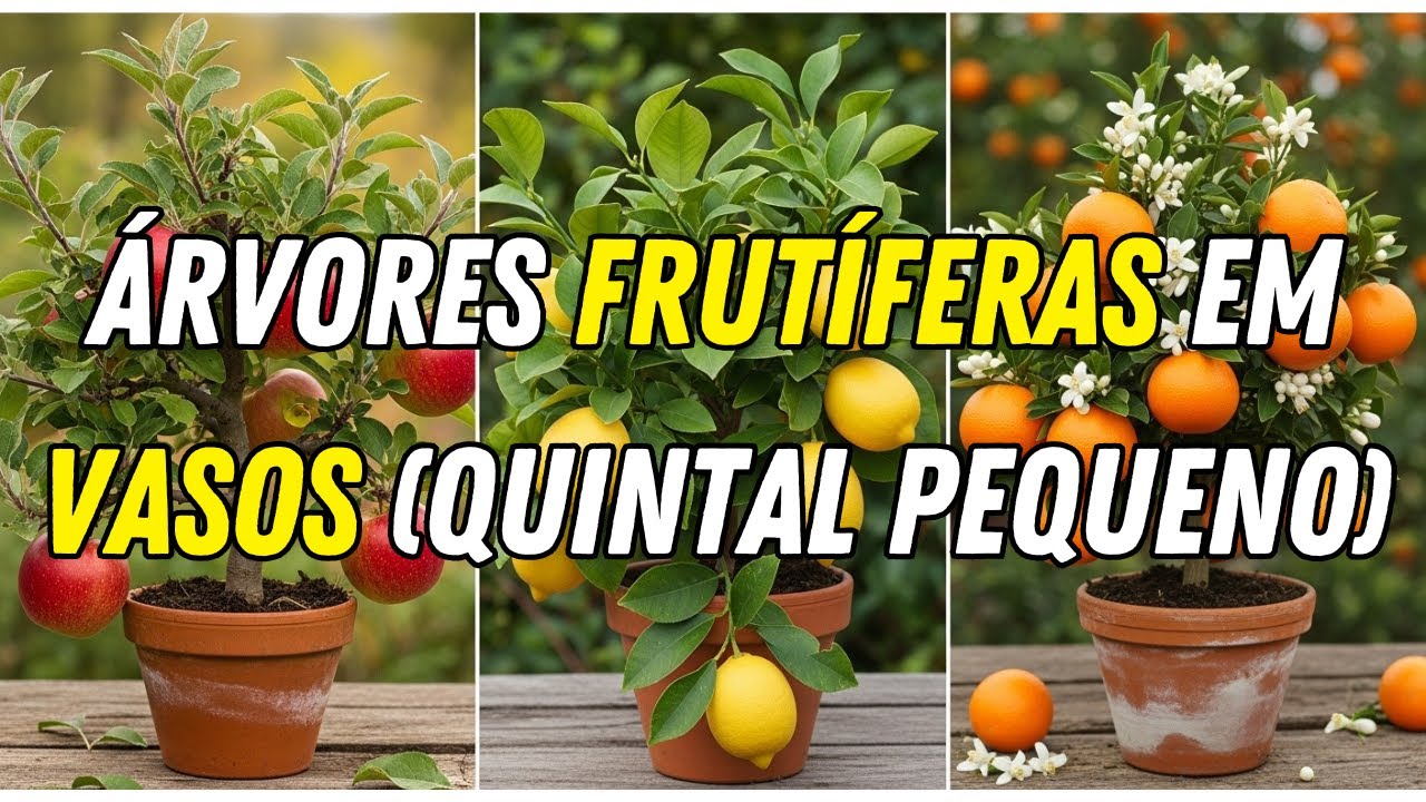 As 10 melhores árvores frutíferas para vasos e espaços pequenos