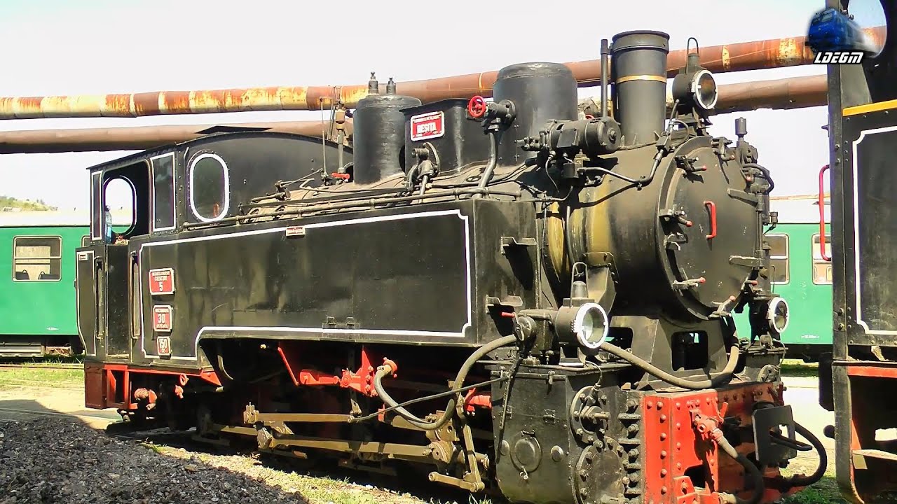 Mocanita/Steam Loco/Dampflok Criscior 5 in Depoul CFI Criscior Depot - 17 April 2015