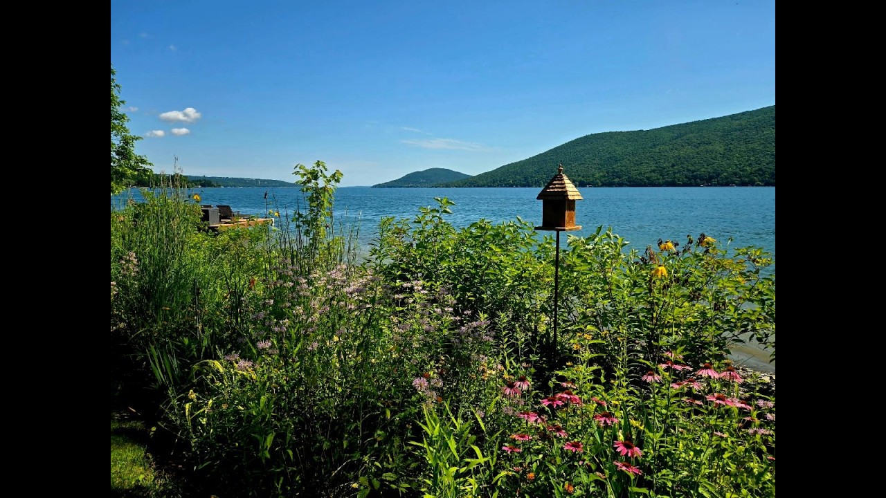 Native Alternatives to Invasive Plants