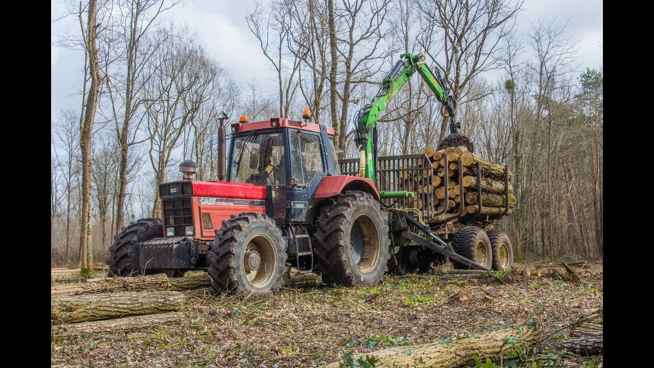 1455 XL POWER ! IH au débardage d'Acacia par l’entreprise RG Raveneau !