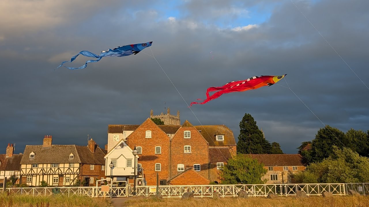 Lovely delta kites 