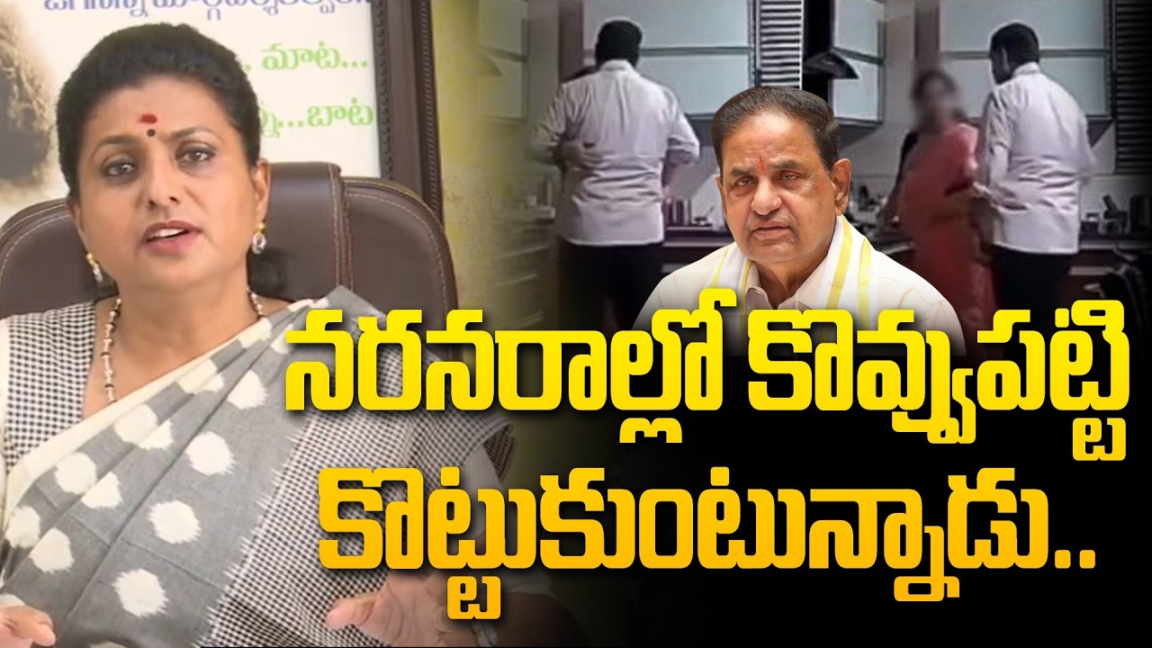 బీఆర్ నాయుడి వీడియో పై రోజా రియాక్షన్ | Roja On BR Naidu Leaked Video ⁨@Hittvtelugunews⁩