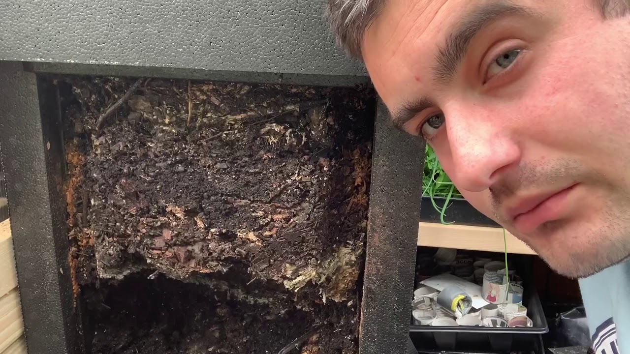 Steve’s Allotment - Hotbin Compost Reveal (51)
