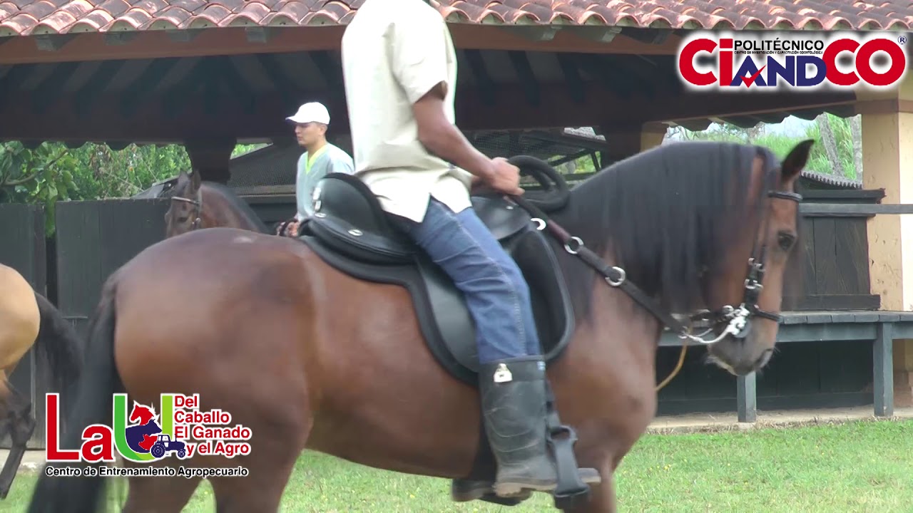 la U del Caballo, el Ganado y el Agro