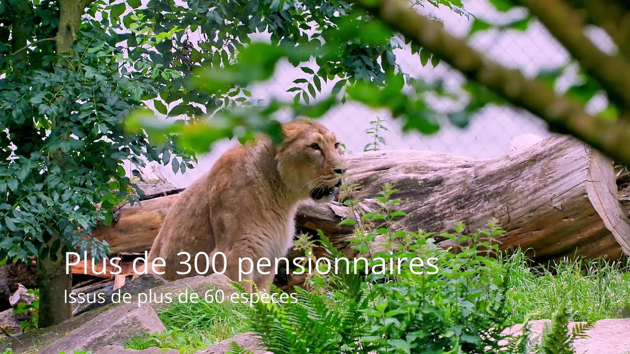 Zoo de Trégomeur