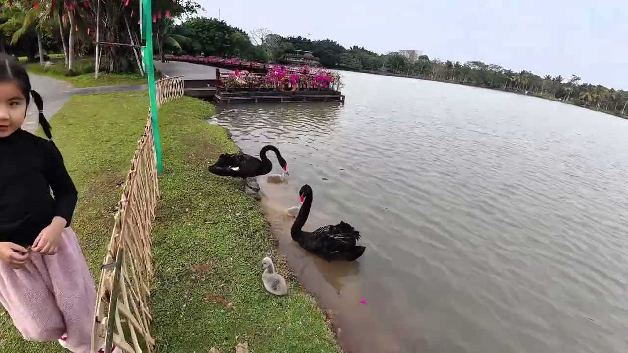 Quảng Trường Hồ Thiên Nga Ecopark 