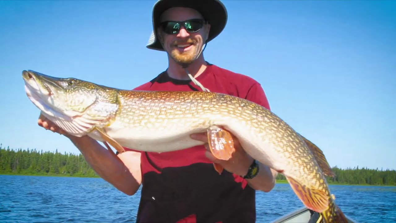 Big Pike On A Fly Rod | How To
