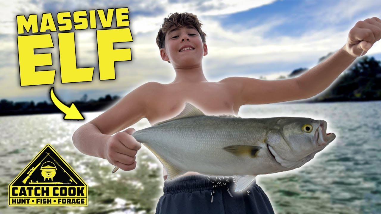 Chasing MASSIVE Elf (Shad) | West Coast, South Africa | Catch Cook