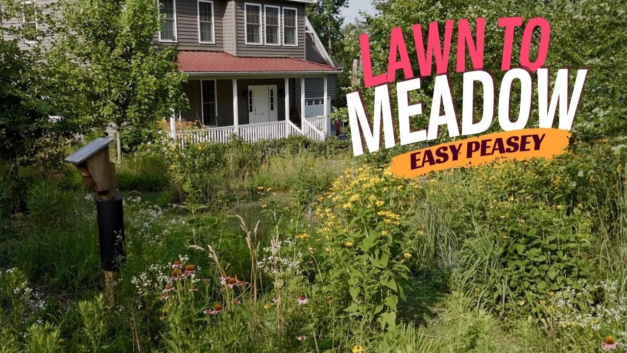 STOP Mowing & Do THIS Instead! 🌺 Your Dream Wildflower Meadow Awaits!