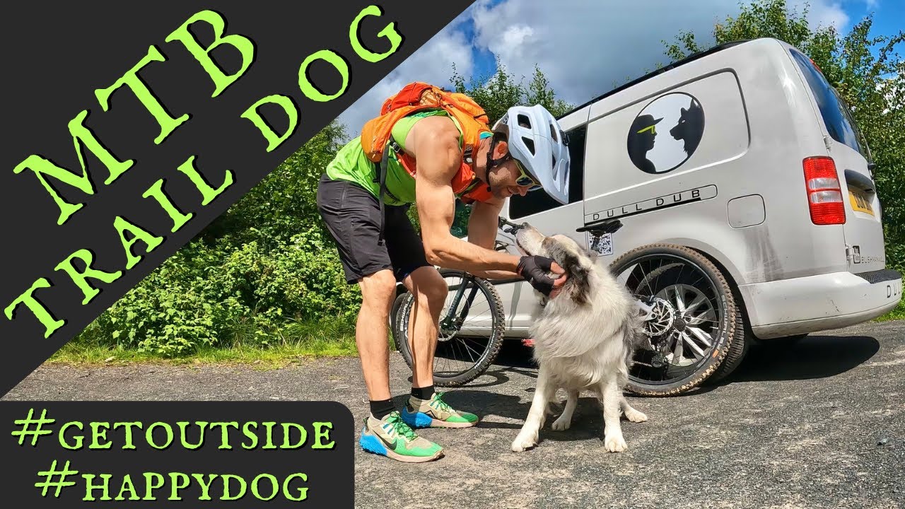 MTB TRAIL DOG - GISBURN FOREST - Mountain Biking Relaxing ASMR Bike Trails